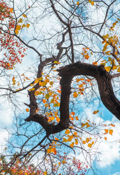 希望每个人都能够坚持自己所爱 - 乐理