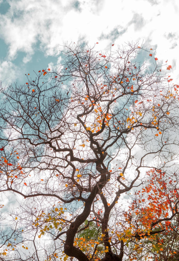 希望每个人都能够坚持自己所爱 - 孩子们